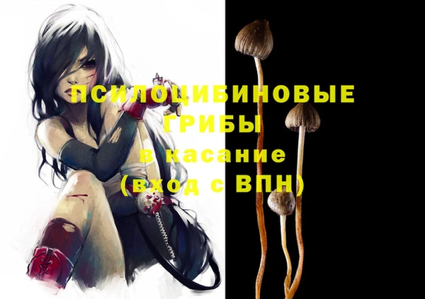 mdpv Балахна